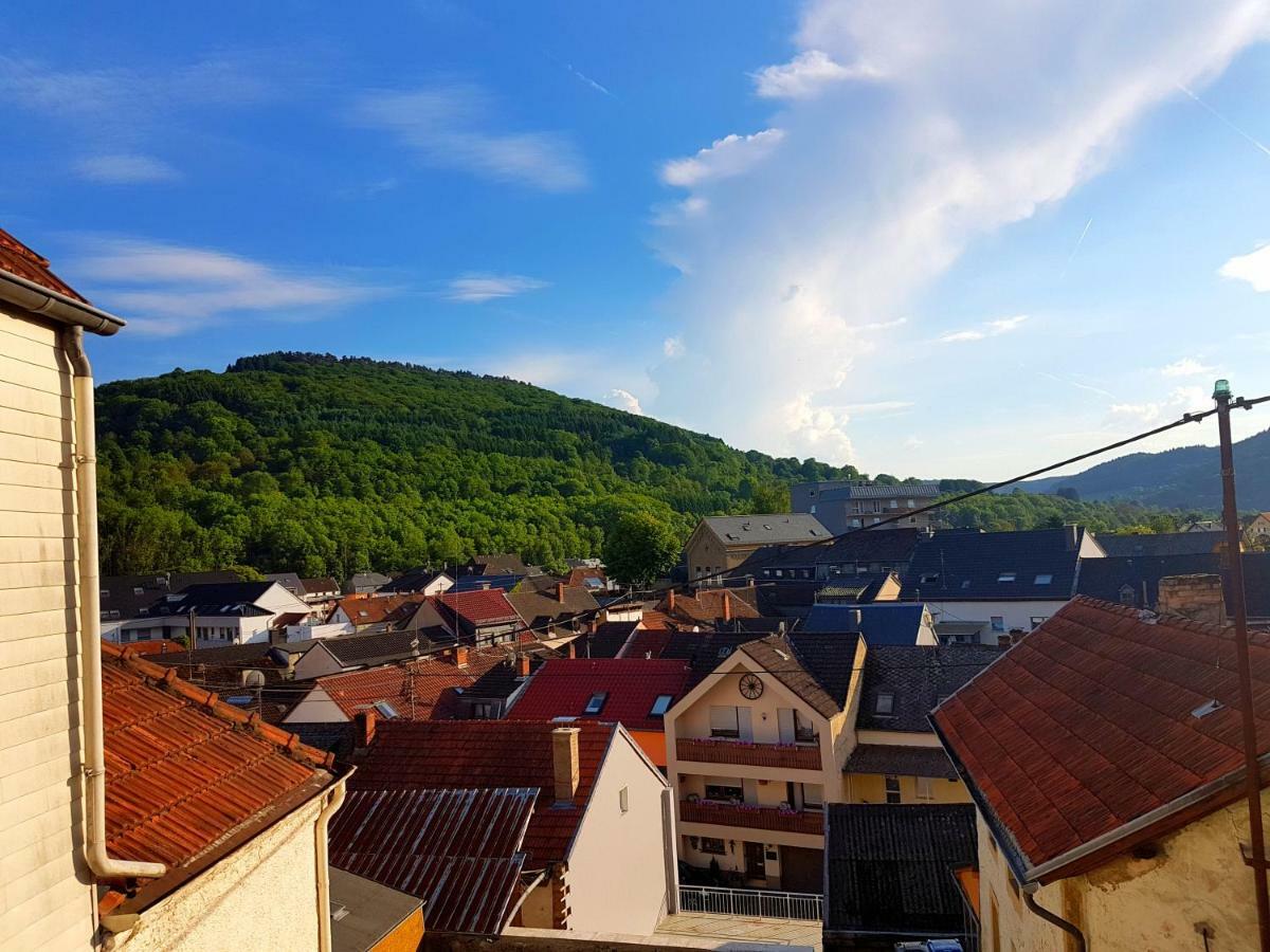 Ein Trip In Die Natur Bollendorf Zewnętrze zdjęcie